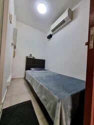 Edelweiss Park Condominium (D17), Condominium #507863621